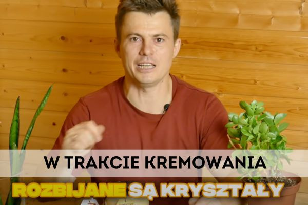 Miód kremowany: co to jest i jak go używać?