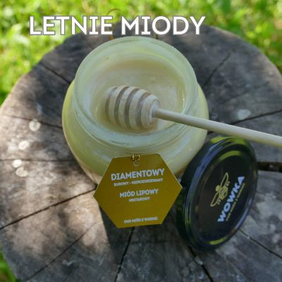 Dlaczego miód to najlepszy kompan lata? Od lemoniady po marynaty