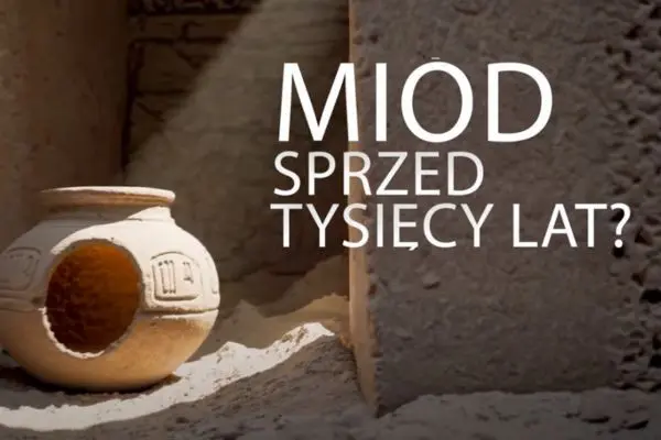 Dlaczego miód się nie psuje? Tajemnica pszczelego złota